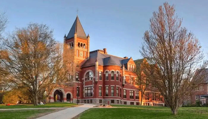 职业发展支持与终身学习